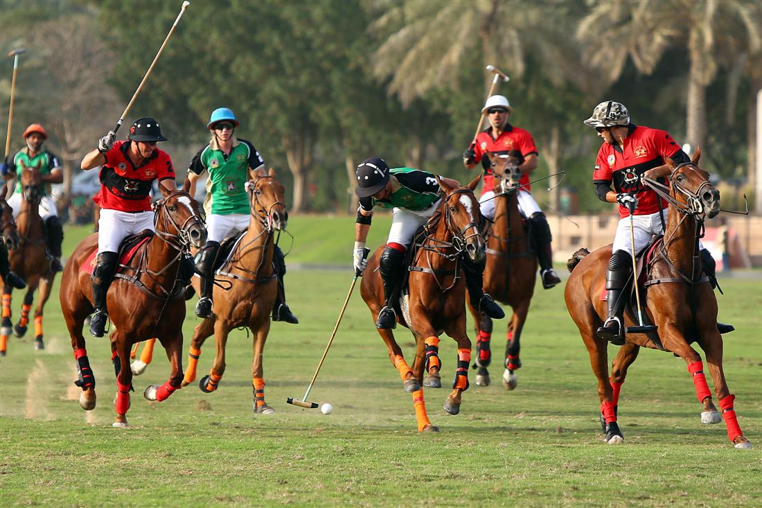 dubai gold cup polo top tournament 2013 polo match ghantoot 4
