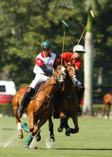 polo magazine alexpacheco us polo open championships polo tournament coca cola polo team audi polo team ipc polo club florida polo 6