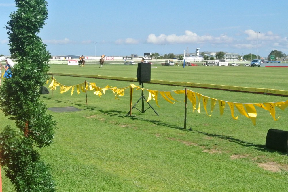 DSC 8181