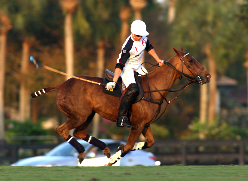 joebarrypolocup2014pachecopolophotospolomagazine 4