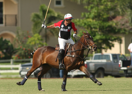 Photos-Palm City Open-Grand Champions Polo Club
