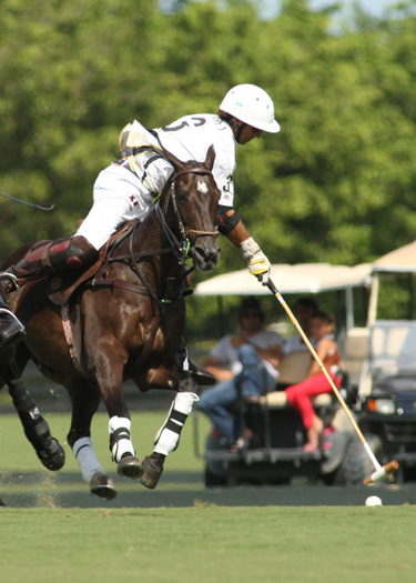 alexpacheco polomag 5