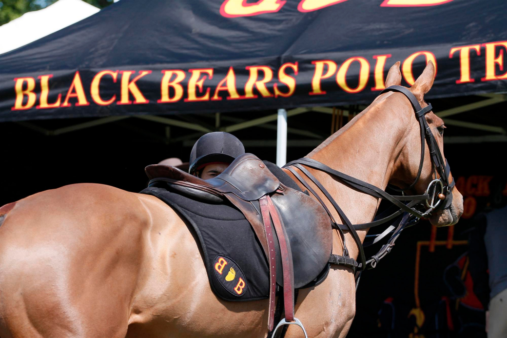 2013 Cartier Queen's Cup-Black Bears Polo Team Album