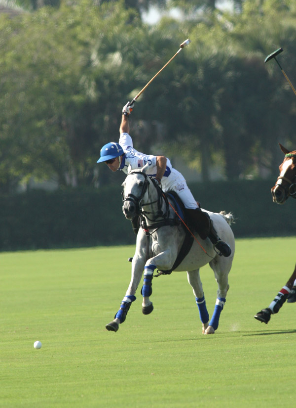 Plenty of polo today at the International Polo Club.