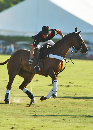 US Open photos-Zorzal vs. ERG